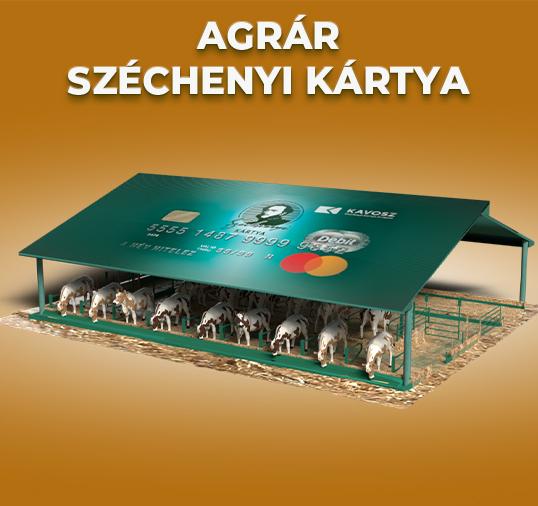 Menu Item Illustration