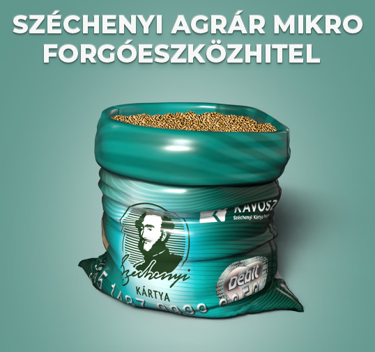 Menu Item Illustration