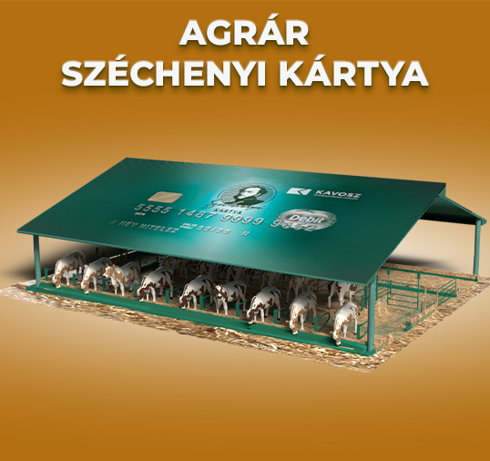 Menu Item Illustration